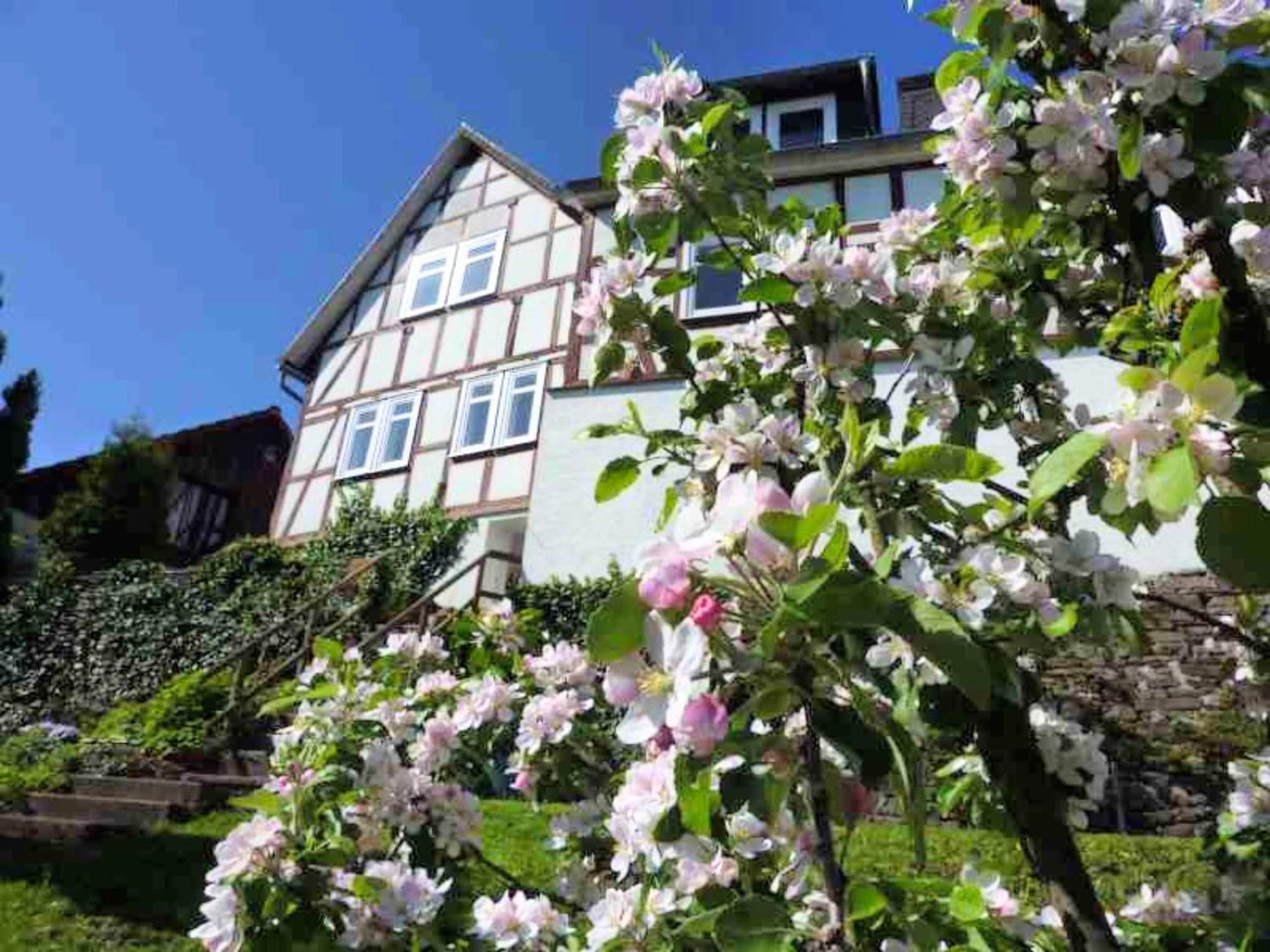 Delightful Holiday Home In Battenberg Near Forest 外观 照片